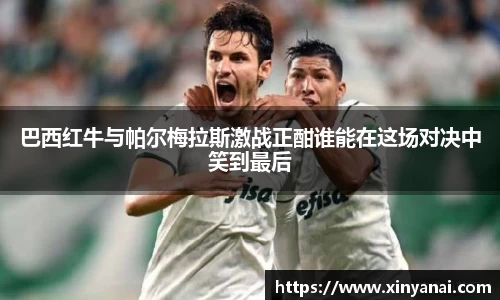 巴西红牛与帕尔梅拉斯激战正酣谁能在这场对决中笑到最后